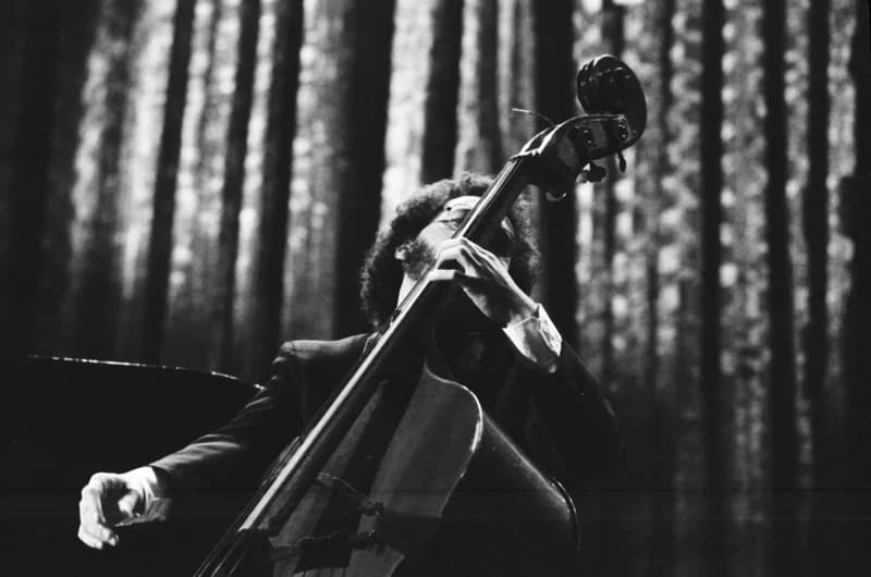 Newport /Jazz Festival/