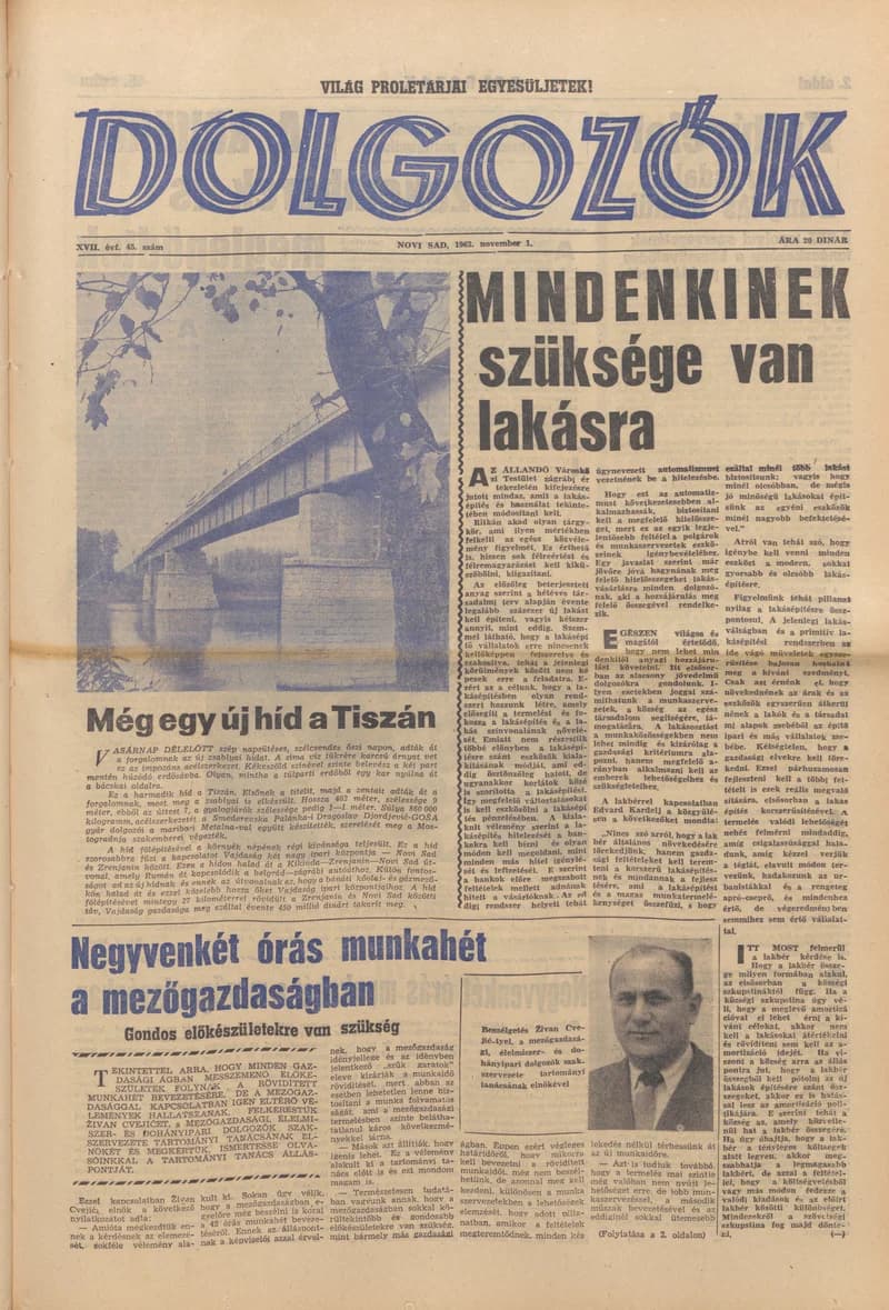Dolgozók, 17. évf. 1963. november 1. 45. sz.