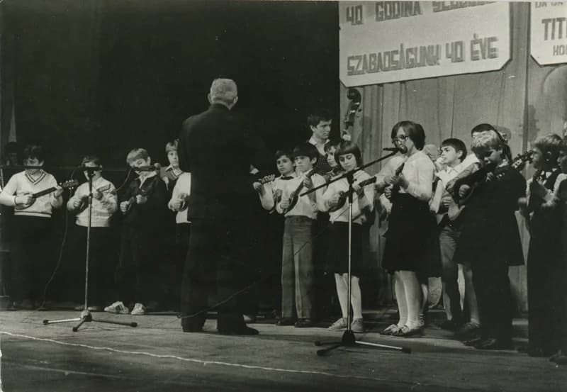 A temerini citerazenekar ünnepi műsora