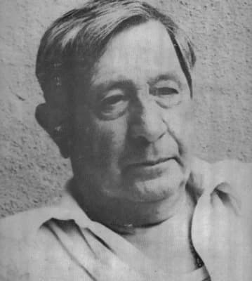 Kvazimodo Braun István