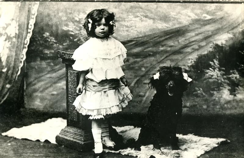  Kislány és a kutyus