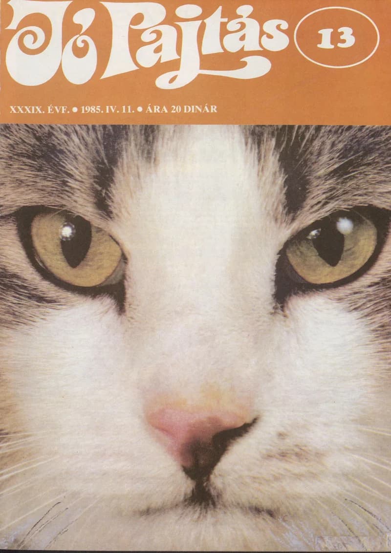 Jó Pajtás, 39. évf. 1985. április 11. 13. sz.