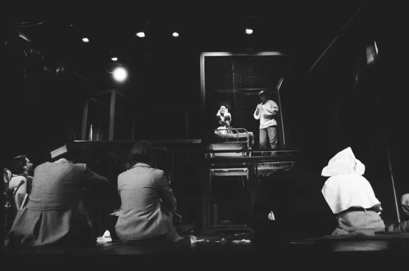 Tömöry Péter (r.), Tolnai Ottó: Paripacitrom 