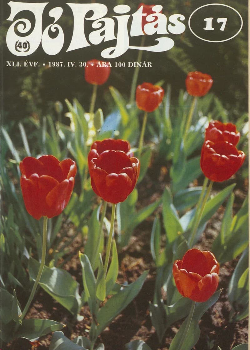 Jó Pajtás, 41. évf. 1987. április 30. 17. sz.