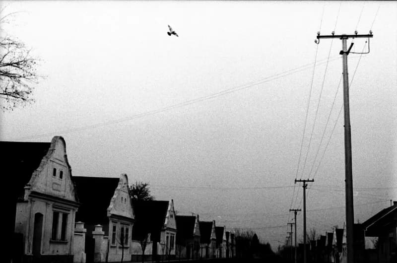 A Bartók Béla Művelődési Egyesületben