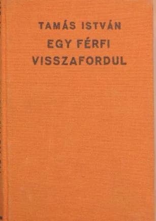 Egy férfi visszafordul