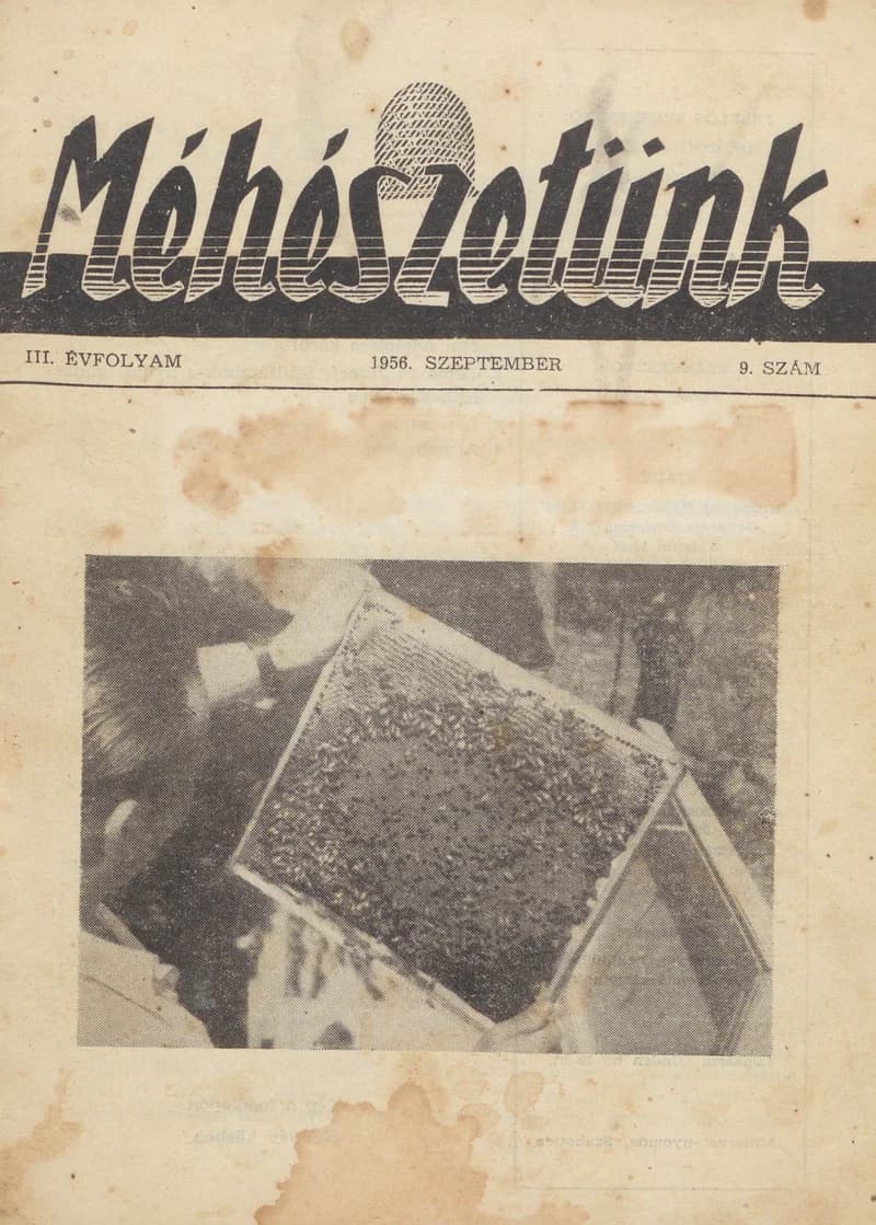 Méhészetünk, 3. évf. 1956. szeptember 1. 9. sz.