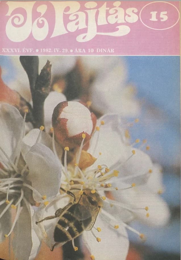Jó Pajtás, 36. évf. 1982. április 29. 15. sz.