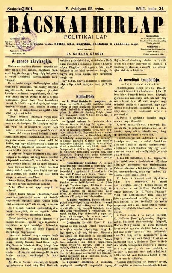 Bácskai Hirlap, 5. évf. 1901. június 24. 95. sz.