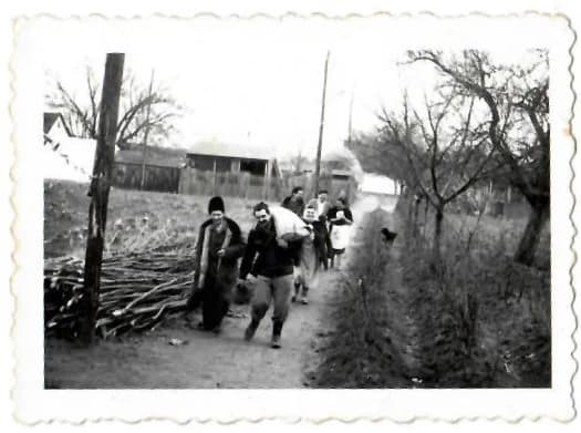 Vadászat Szabadkán