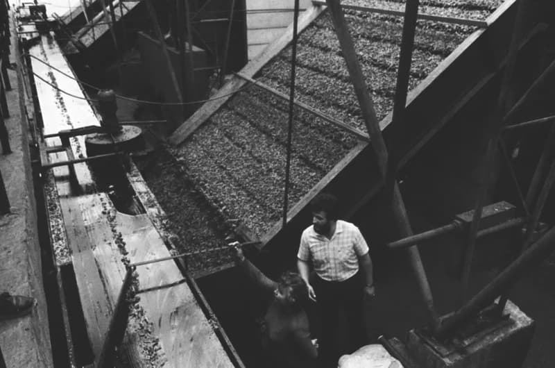 Vitamin Paprikagyár