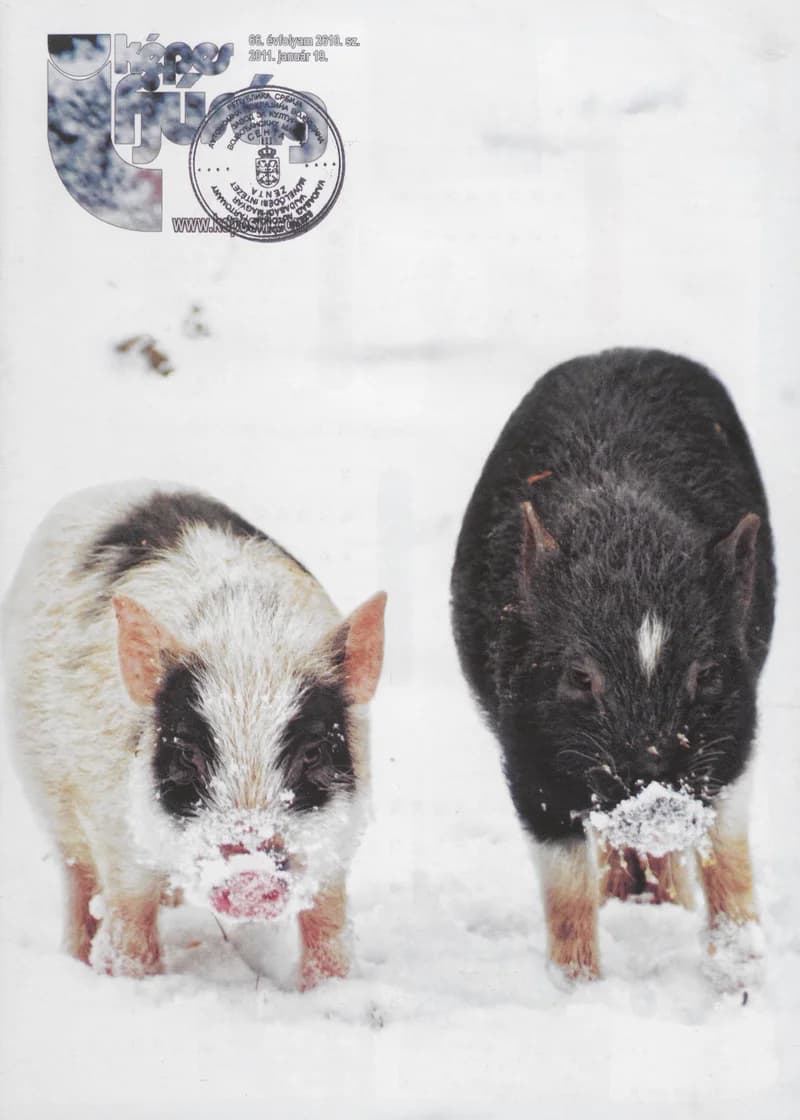 Képes Ifjúság, 67. évf. 2011. január 19. 2610. sz.