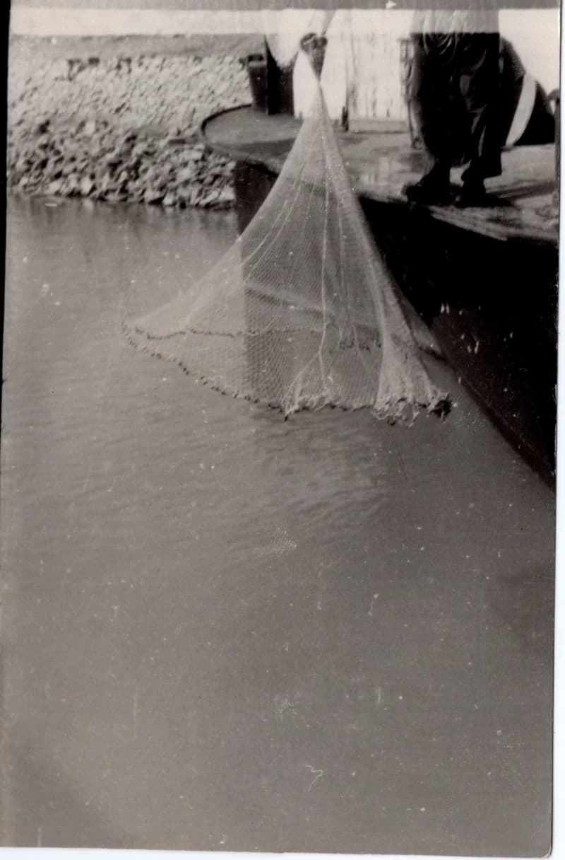 Halászat dobóhálóval