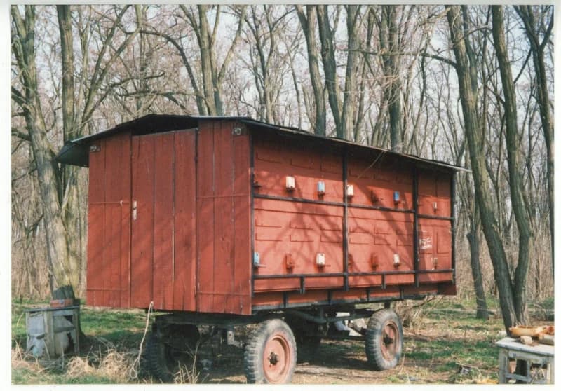 Vándorméhész méhkaptárai az erdőben