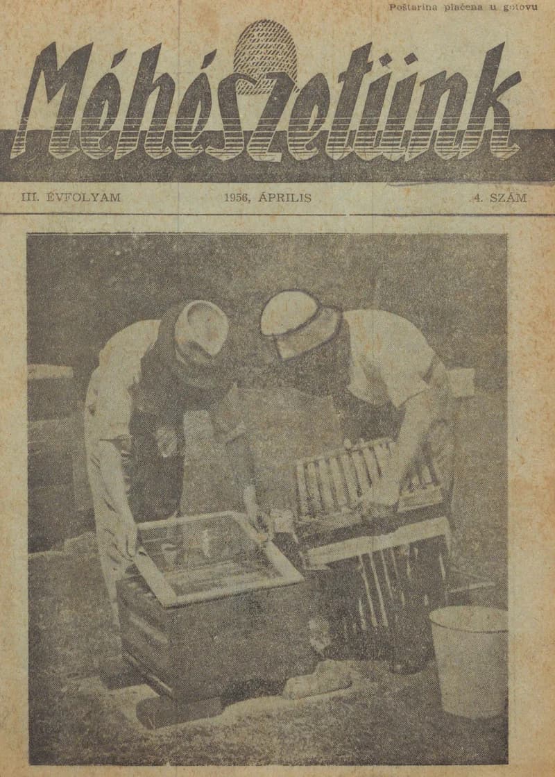 Méhészetünk, 3. évf. 1956. április 1. 4. sz.