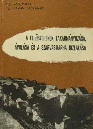 A fejőstehenek takarmányozása, ápolása és a szarvasmarha hizlalása 