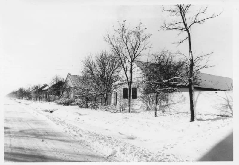 Temerin - Leninova - Gyepsor