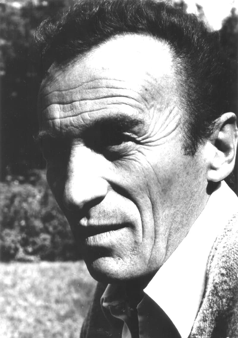 Novak Roganović (labdarúgó)