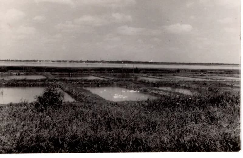 Az écskai halgazdaság