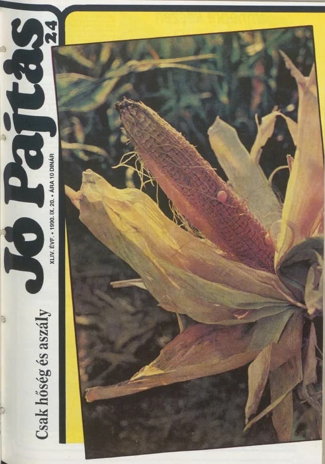 Jó Pajtás, 44. évf. 1990. szeptember 20. 24. sz.