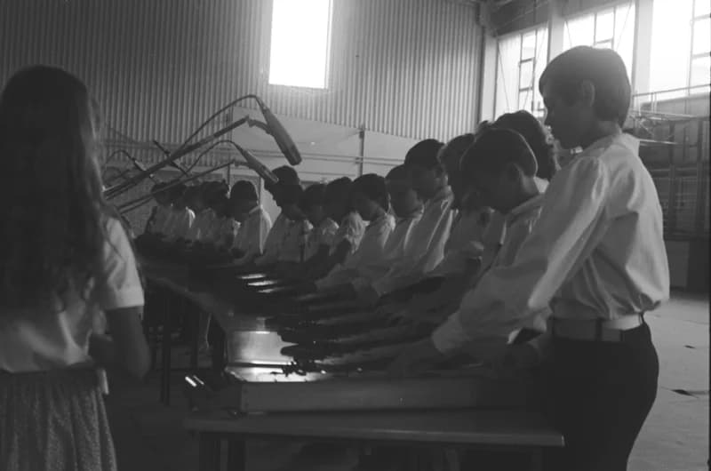 XX. Durindó - Gyöngyösbokréta