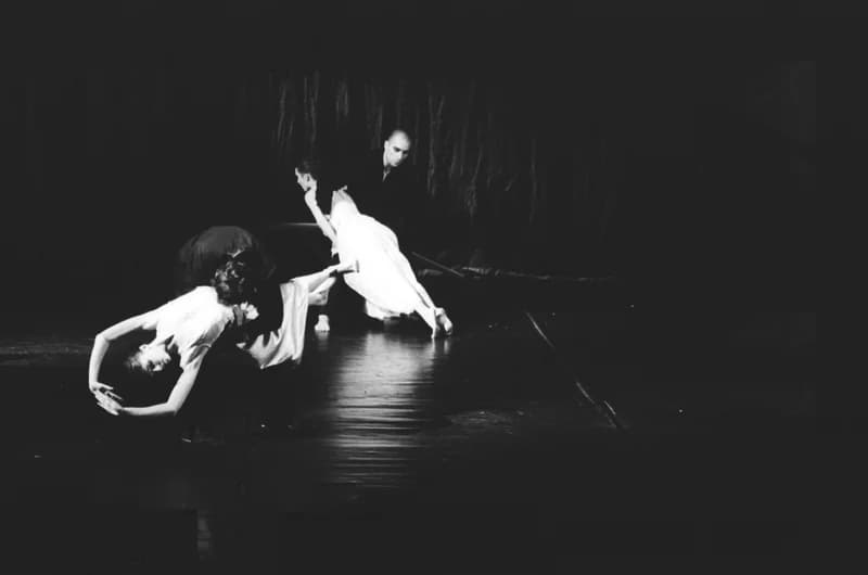 A Párizsi Jel Színház előadása: A hét rinocéroszbőr