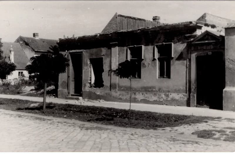 A Vujić-ház lebontása