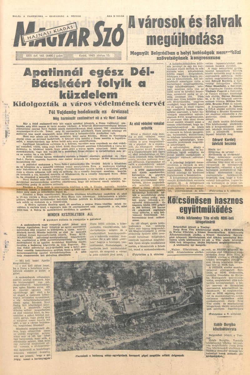Magyar Szó, 22. évf. 1965. június 15. 162. sz. 1–16. oldal