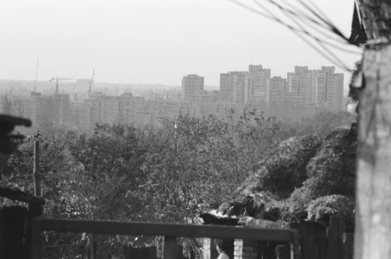 Újvidék, Liman városnegyed