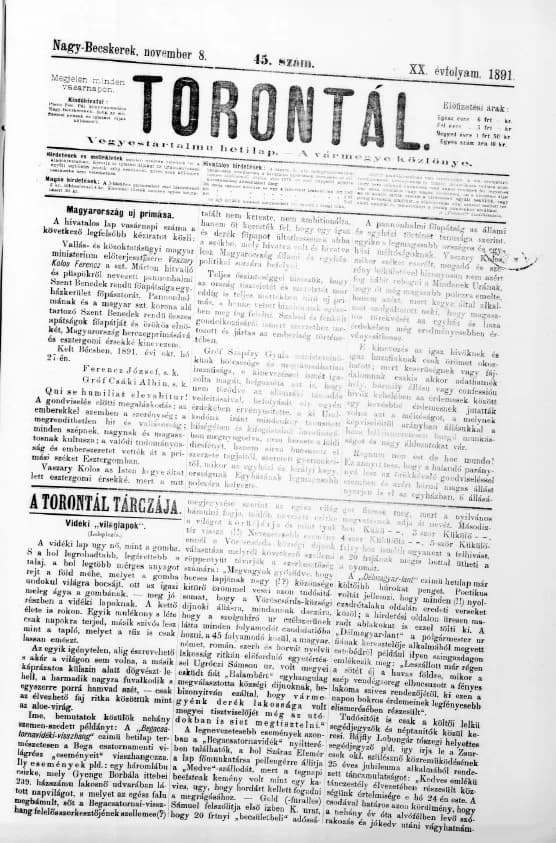 Torontál, 20. évf. 1891. november 8. 45. sz.