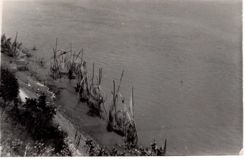 Varsák szárítása