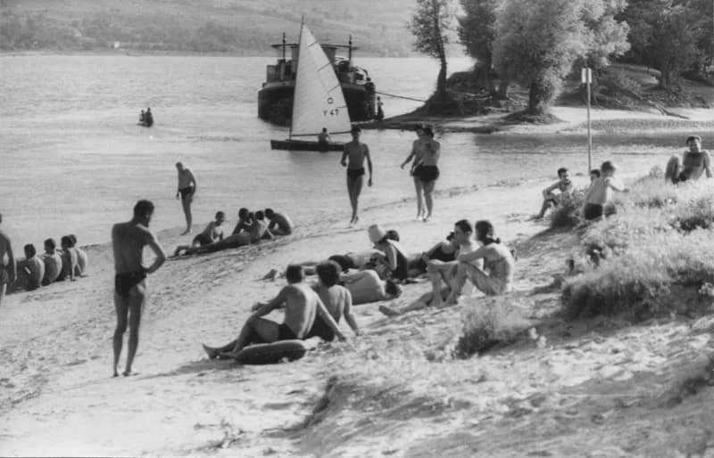 Fürdőzők a Dunán