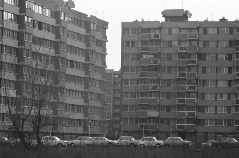 Újvidék, Liman városnegyed