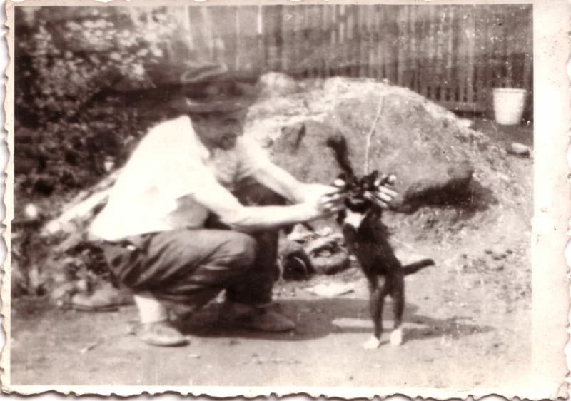 Nagy Lázár macskával