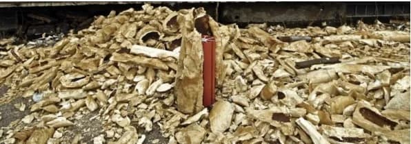 „Zarathustra,” (helyspecifikus installáció)