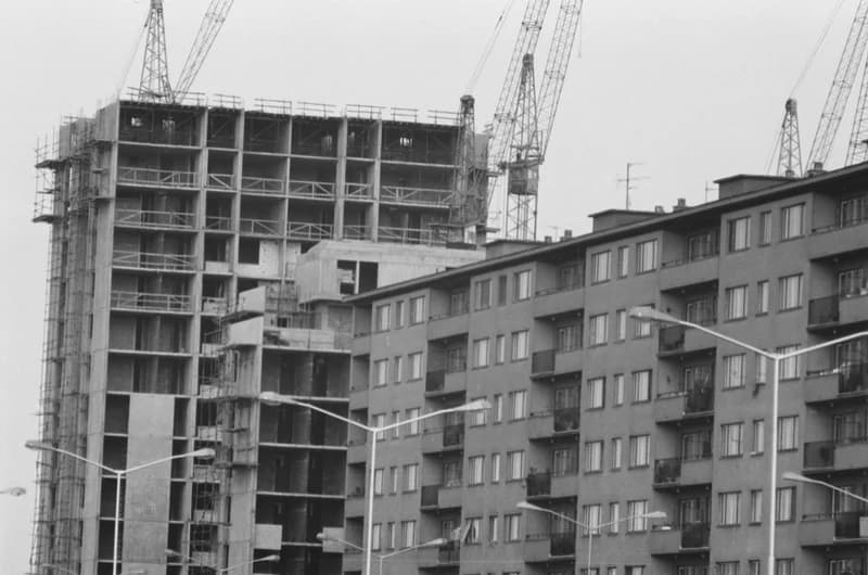 Újvidék, Liman városnegyed