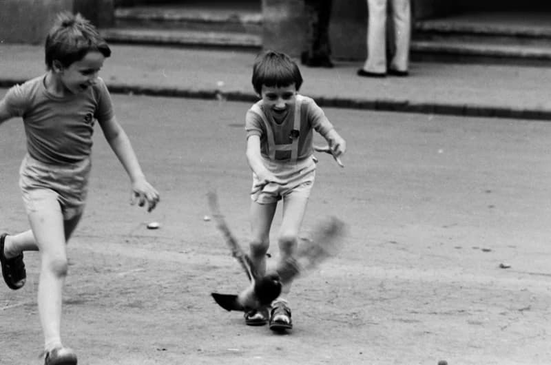 Gyerekek Újvidék utcáin