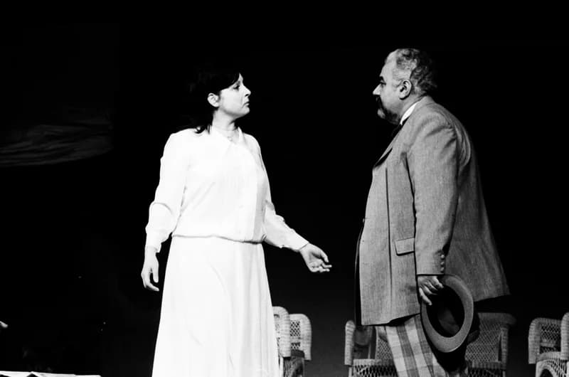 A Vajdasági Színházak Szemléje