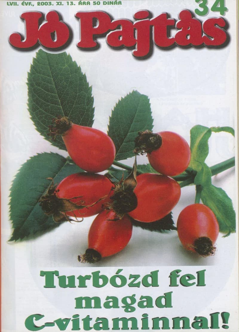 Jó Pajtás, 57. évf. 2003. november 13. 34. sz.