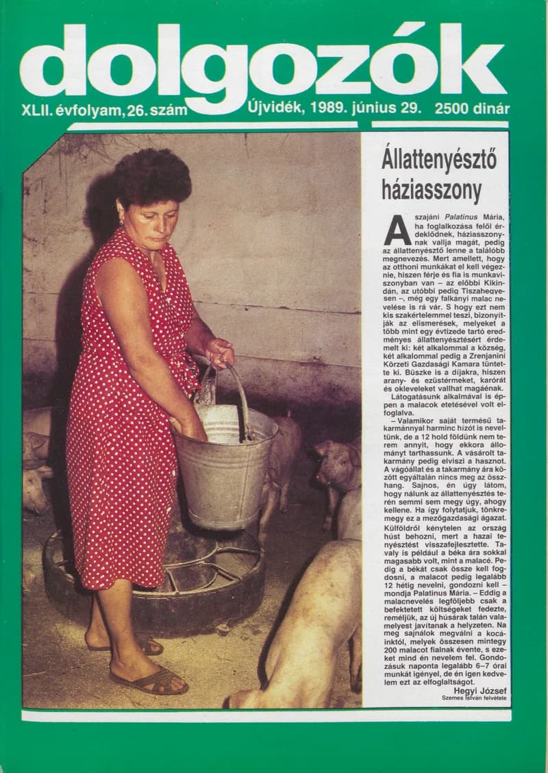 Dolgozók, 43. évf. 1989. június 29. 26. sz.