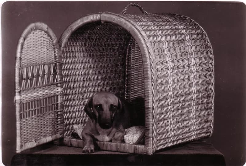 Martonosi Kosárfonó Szövetkezet 16.