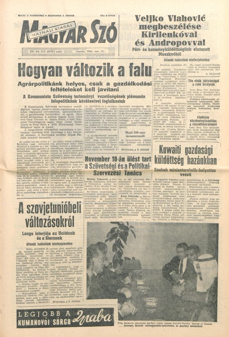 Magyar Szó, 21. évf. 1964. november 11. 313. sz.