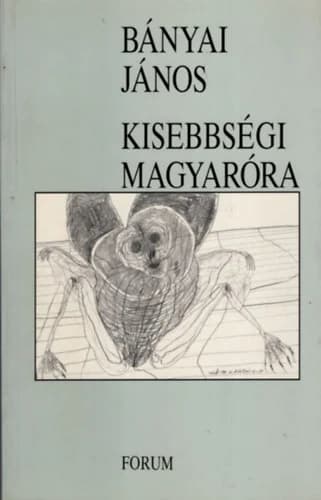Kisebbségi magyaróra