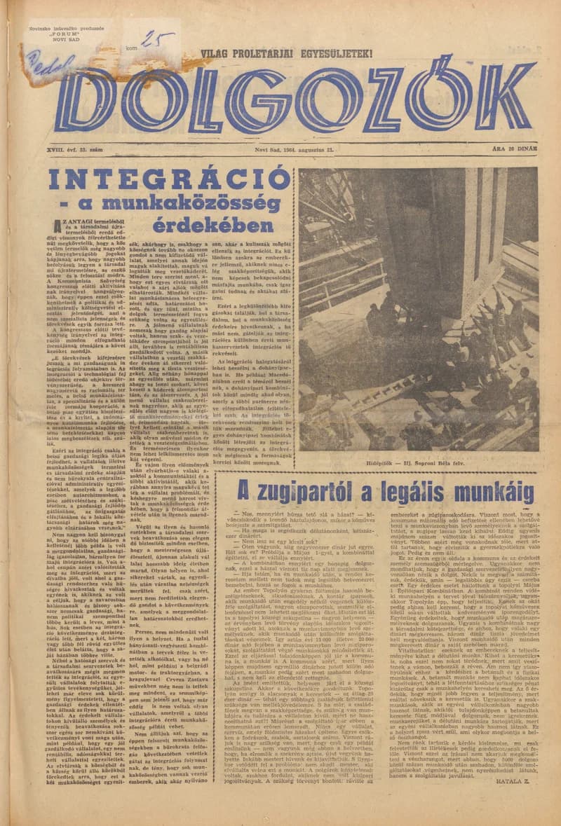 Dolgozók, 18. évf. 1964. augusztus 21. 33. sz.