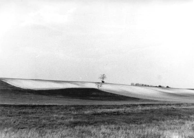 Szántóföldek a zentai határban