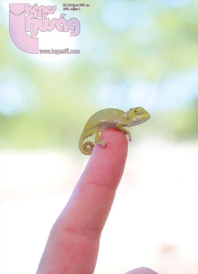 Képes Ifjúság, 68. évf. 2012. május 4. 2661. sz.