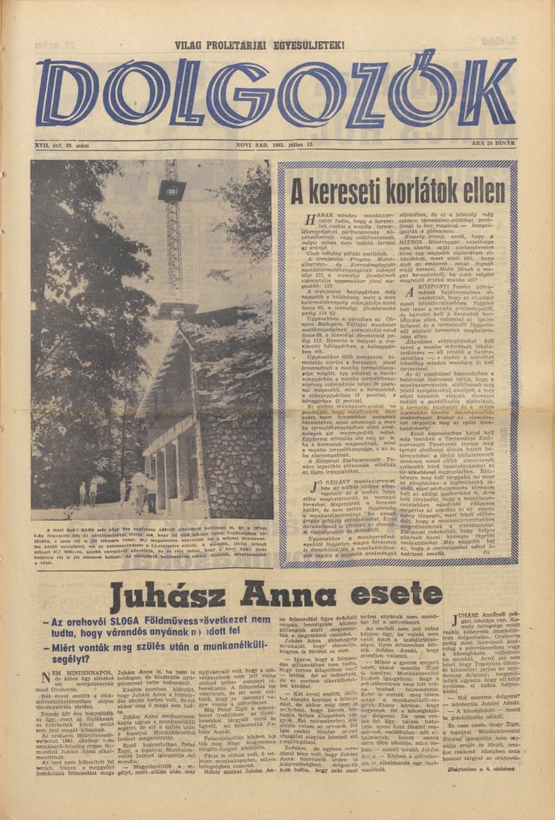 Dolgozók, 17. évf. 1963. július 12. 29. sz.