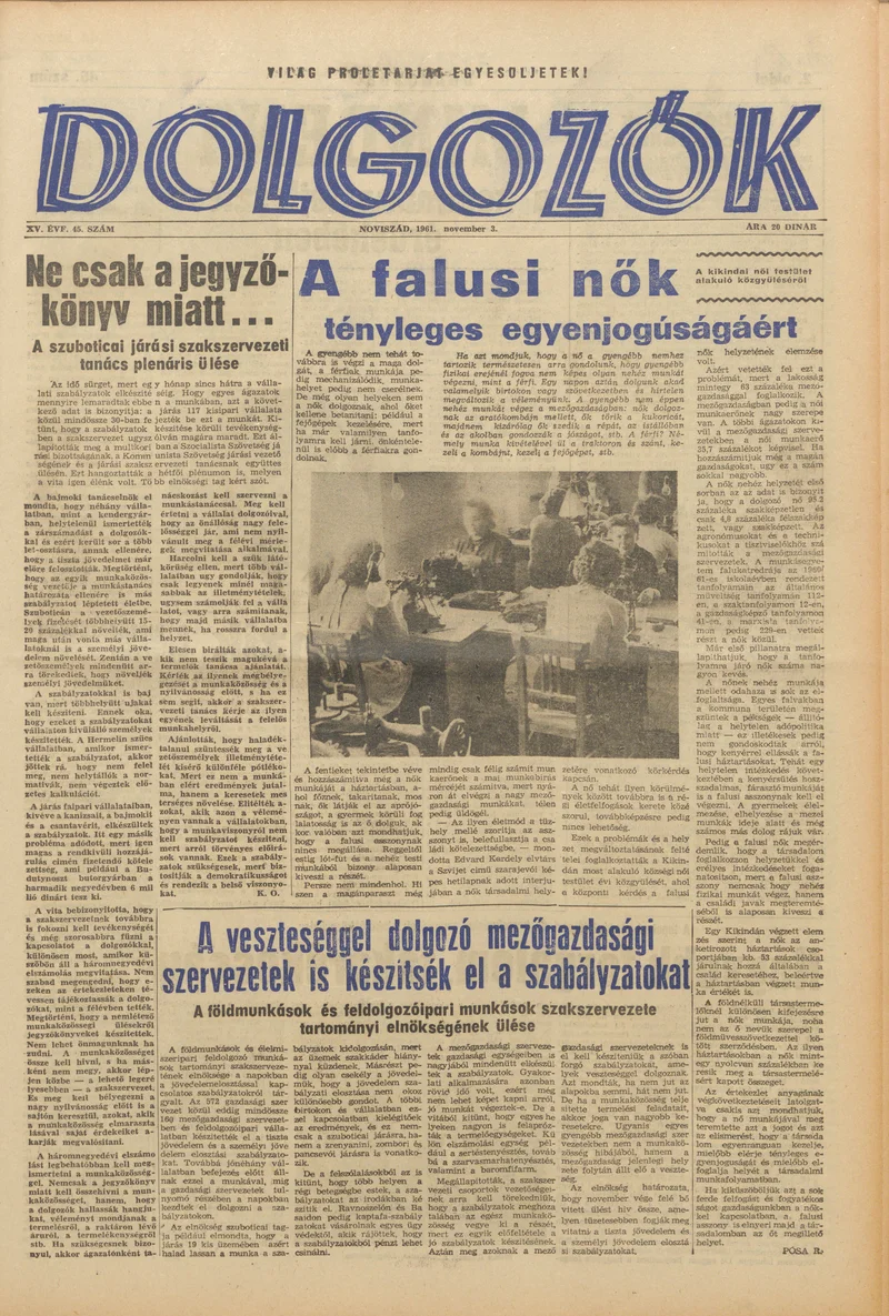 Dolgozók, 15. évf. 1961. november 3. 45. sz.