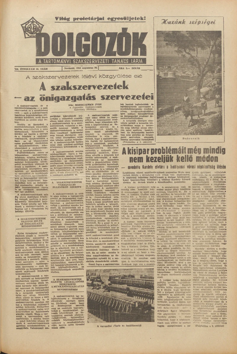Dolgozók, 8. évf. 1954. augusztus 24. 35. sz.