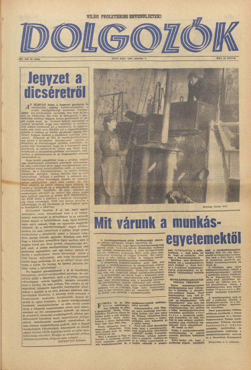 Dolgozók, 17. évf. 1963. március 1. 10. sz.